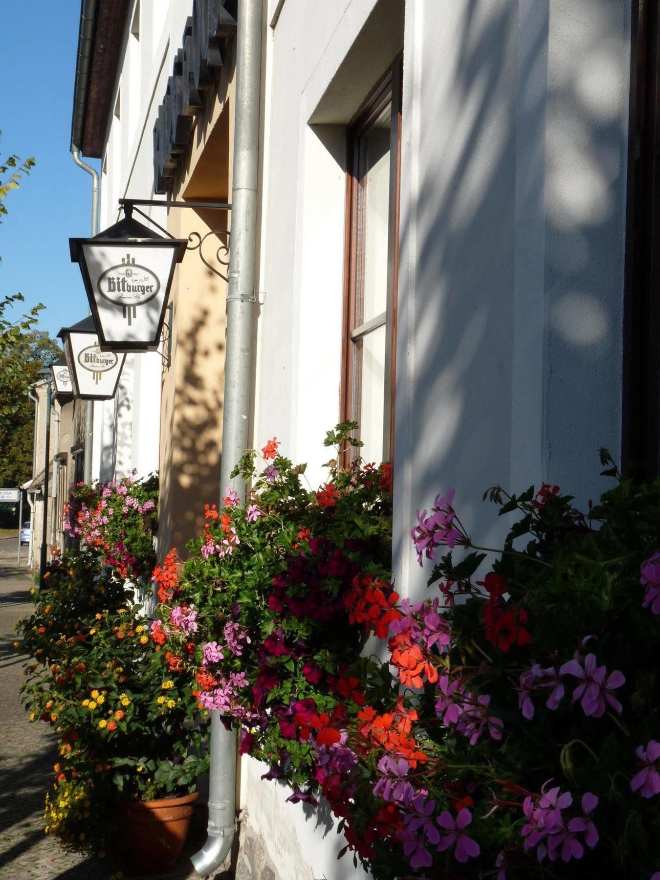 Burg Hotel Ziesar Екстериор снимка